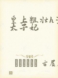 皇上粗壮h灌满太子妃封面