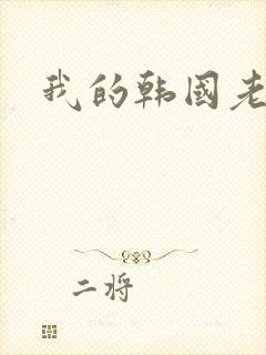 我的韩国老婆封面
