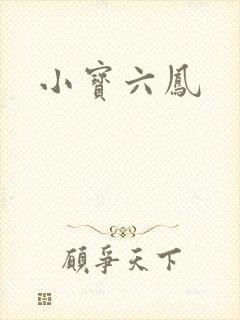 小宝六凤