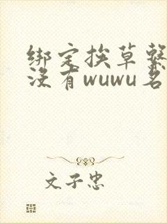 绑定挨草系统后没有wuwu名字