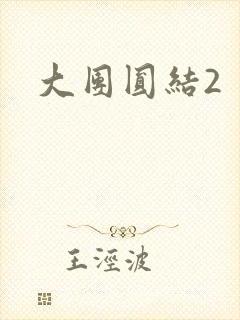 大团圆结2封面