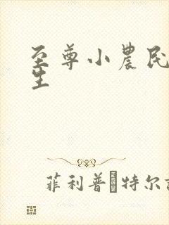 至尊小农民王木生