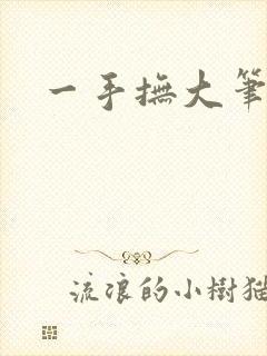 一手抚大笔趣阁