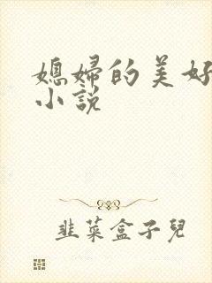 媳妇的美好时代小说