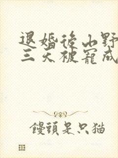 退婚后山野糙汉三天被宠成宝小说