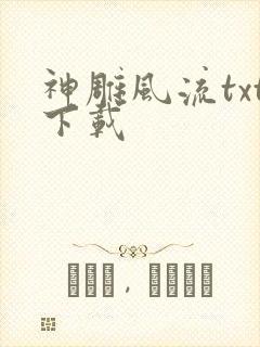 神雕风流txt下载