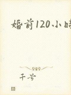 婚前120小时封面