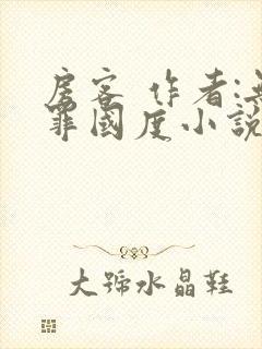 房客 作者:无罪国度小说全文免费