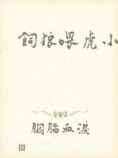 饲狼喂虎小说封面