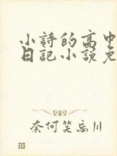 小诗的高中成长日记小说免费阅读