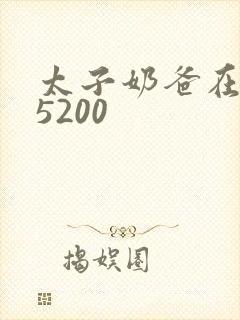 太子奶爸在花都5200