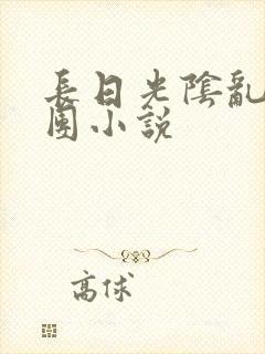 长日光阴乱作一团小说封面