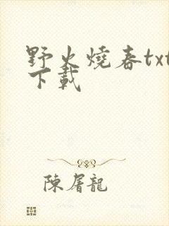 野火烧春txt下载