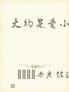 大约是爱小说