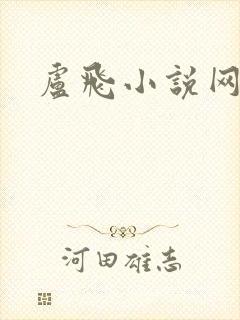卢飞小说网