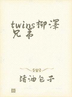 twins柳泽兄弟