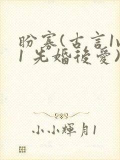 盼寡(古言1v1 先婚后爱)荔枝好多封面