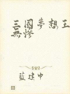 三国梦想王元姬无惨封面