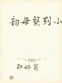 韵母系列小说封面