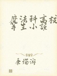 魔法科高校的劣等生小说封面