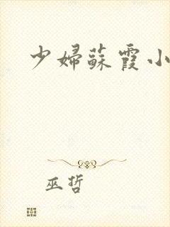 少妇苏霞小说封面