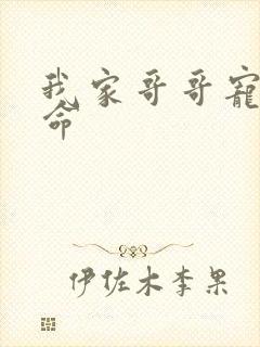 我家哥哥宠妹如命