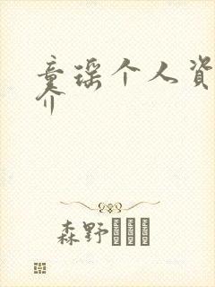 童瑶个人资料简介封面