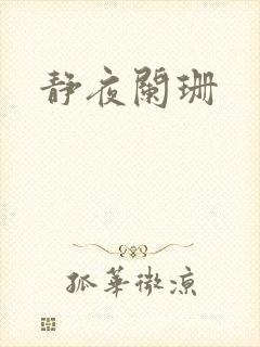 静夜阑珊