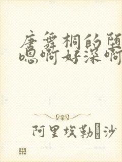 唐舞桐的堕落H嗯啊好深啊封面