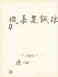 机长是饿狼第10封面