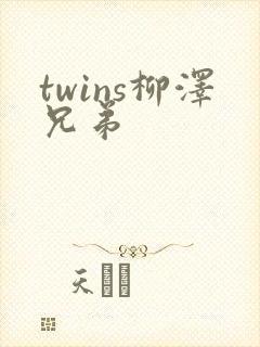 twins柳泽兄弟