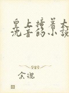 皇上撞着太子妃沈音的小说叫什么封面