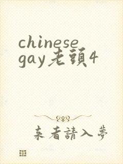 chinesegay老头4