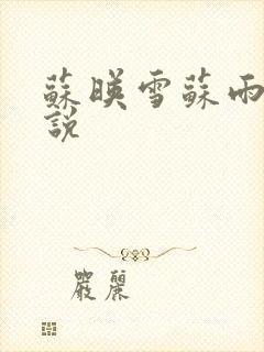 苏映雪苏雨柔小说封面