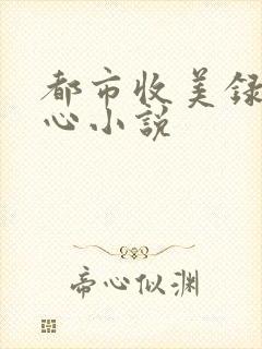 都市收美录宁素心小说