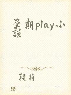 孕期play小说