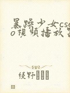 暴躁少女csgo视频播放器推荐