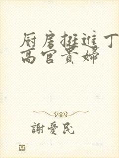 厨房挺进丁字裤高官贵妇