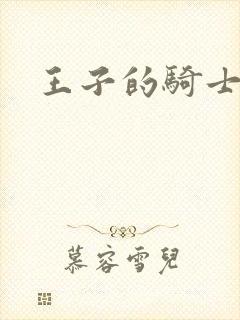王子的骑士