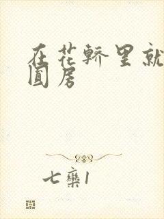 在花轿里就开始圆房