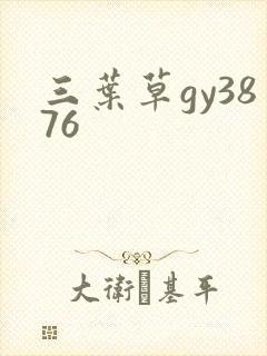 三叶草gy3876封面