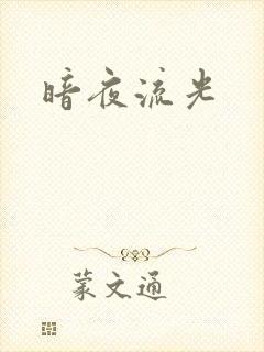 暗夜流光