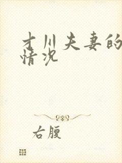 才川夫妻的恋爱情况