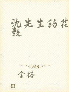 沈先生的花式调教