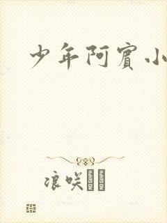 少年阿宾小说封面