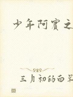 少年阿宾之封面