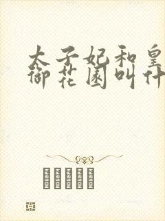 太子妃和皇帝在御花园叫什么小说