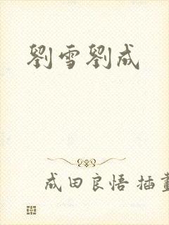 刘雪刘成封面