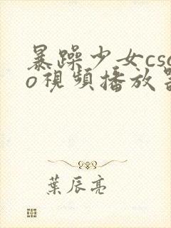 暴躁少女csgo视频播放器推荐