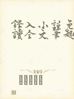 锋入小说免费阅读全文笔趣阁